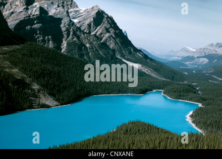 Berühmten Aqua-Grün reflektiert Peyto Lake aus eiszeitlichen Ablagerungen Stockfoto