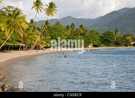 Purple Turtle Beach ist ein beliebter Abend schwimmen mit Einheimischen von Portsmouth auf Dominica West Indies Stockfoto