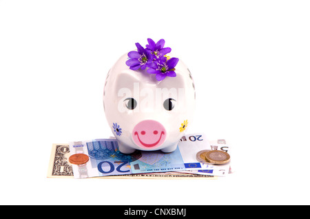 isolierte Spaß Frühjahr Sparschwein mit Veilchen Blumen und Euro Stockfoto