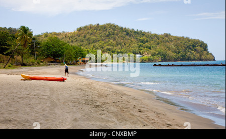 Der Strand von Picard in der Nähe von Portsmouth in Dominica West Indies Stockfoto