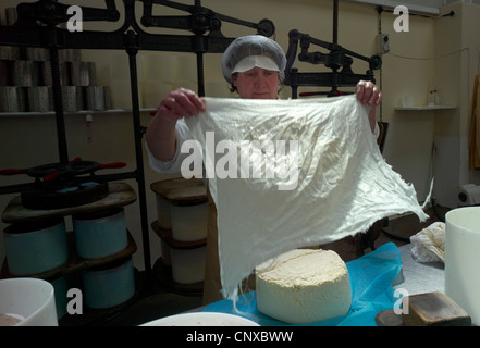 Die geschnittene Blöcke der Käsebruch stammen in Runde Formen auf Curworthy Farm Käser Devon England gepackt werden Stockfoto