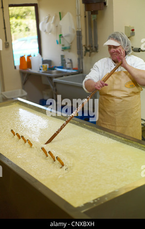 Käse machen bei Curworthy Farm Devon - Mischung aus Quark und so in der Anfangsphase der Käseherstellung Stockfoto