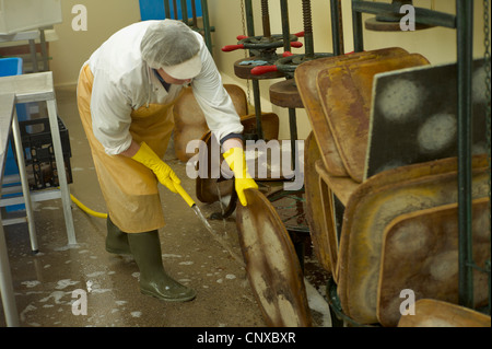 Käse machen bei Curworthy Farm Devon - Reinigung der Käse-press Stockfoto