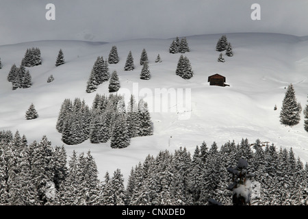 Winter-Chalet inmitten der Bäume auf verschneiten Hügel Stockfoto