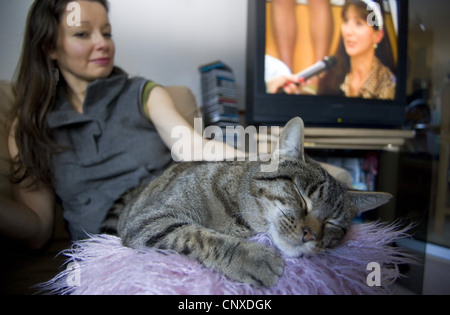 Hauskatze, Hauskatze (Felis Silvestris F. Catus), Frau streicheln Haustier Katze vor TV, Großbritannien, Schottland Stockfoto