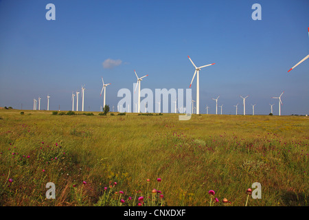 Windpark in Wiese, Bulgarien, Kaliakra Stockfoto