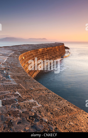 Der historische Cobb Stein Hafenmauer bei Lyme Regis, Dorset, England. Winter (Dezember) 2010. Stockfoto