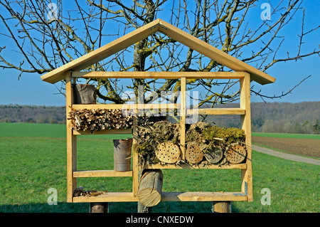 Insektenhotel für Wildbienen und andere Insekten, Deutschland Stockfoto