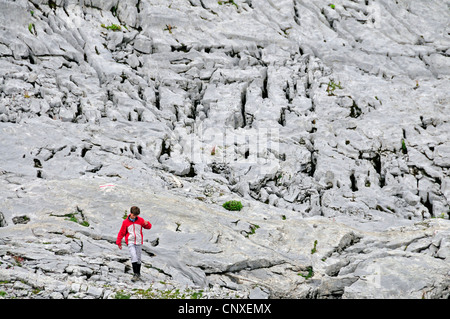 Junge zu Fuß über das Gottesackerplateau im Kleinwalser Tal, Karstlandschaft, Österreich, Allgäuer Alpen, Vorarlberg Stockfoto