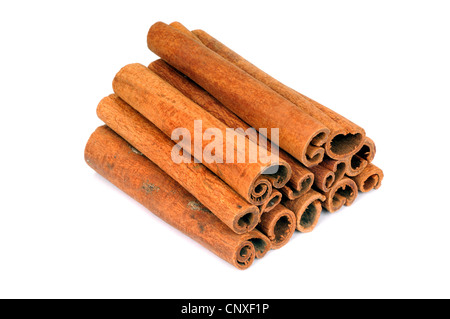 Zimt (Cinnamomum spec.), Zimt-sticks Stockfoto