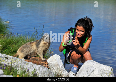 Alpine Murmeltier (Marmota Marmota), fotografiert von einer jungen Frau am See, Frankreich Stockfoto