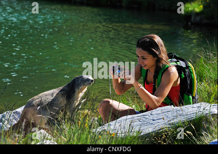 Alpine Murmeltier (Marmota Marmota), fotografiert von einer jungen Frau am See, Frankreich Stockfoto