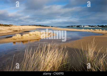 Shell-Bucht mit Blick auf Sandbänken, Studland, Dorset, England. Winter (Februar) 2011. Stockfoto