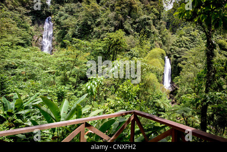 Die Twin Trafalgar Wasserfälle in Dominica sind eine wichtige touristische Attraktion, die hier von der leicht zugängliche Aussichtsplattform gesehen Stockfoto