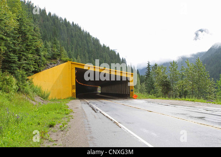 Schnee-Schuppen in British Columbia auf dem Trans Canada Highway Stockfoto