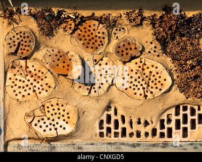 Insekten-Hotel, Deutschland Stockfoto