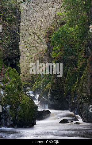 Die Fairy Glen in der Nähe von Betws-y-Coed, Snowdonia, Wales. Frühling (April) 2011. Stockfoto