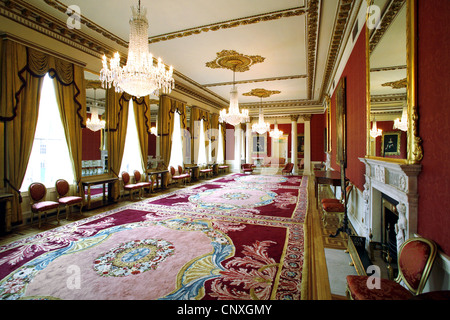 Der Salon, Dublin Castle, Dublin, Irland Stockfoto