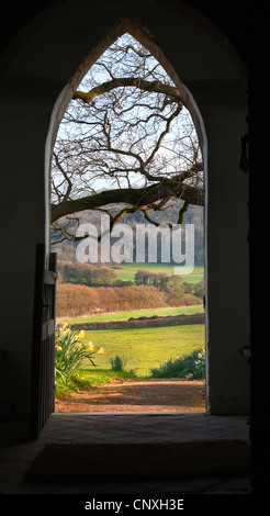 Blick durch die Tür zu St Marys Bepton im zeitigen Frühjahr mit Narzissen und Niederlassungen in Vorder- und grüne Felder Stockfoto