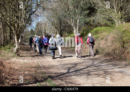 Ein Radfahrer fährt an einer Gruppe von Wanderern auf der Old Portsmouth Road um die Devil's Punchbowl, Hindhead, Surrey vorbei Stockfoto