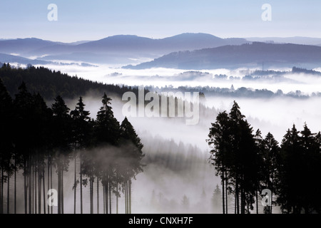 Morgennebel in den Tälern der Arnsberger Wald, Deutschland, Nordrhein-Westfalen, Sauerland, Meschede Stockfoto