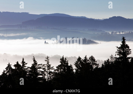 Morgennebel in den Tälern der Arnsberger Wald, Deutschland, Nordrhein-Westfalen, Sauerland, Meschede Stockfoto