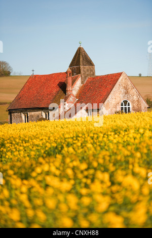 St. Huberts Idsworth mit Raps Feld im Vordergrund und Strom Pylon am Horizont. Stockfoto