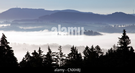 Morgennebel in den Tälern der Arnsberger Wald, Deutschland, Nordrhein-Westfalen, Sauerland, Meschede Stockfoto