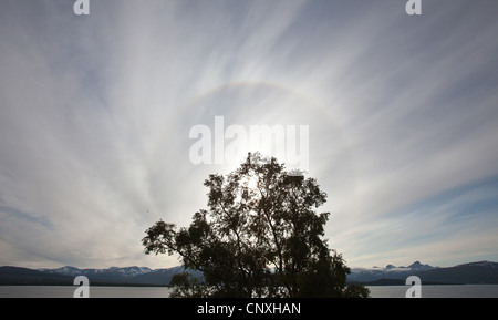 Sonne Heiligenschein, Norwegen, Troms, Tromsoe Stockfoto