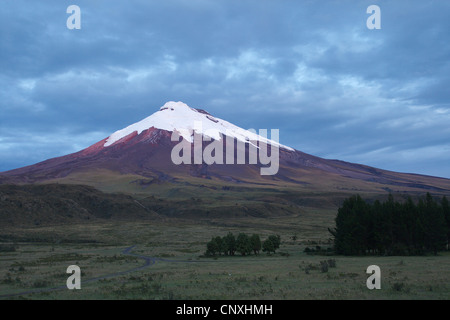 Cotopaxi Vulkan, Ecuador, Anden, Cotopaxi-Nationalpark Stockfoto