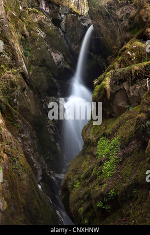 Aira Force, Ullswater, Nationalpark Lake District, Cumbria Stockfoto