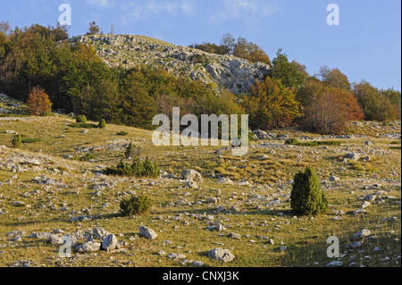 Karst-Landschaft, Montenegro, Durmitor Nationalpark Stockfoto