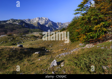 Karst-Landschaft, Montenegro, Durmitor Nationalpark Stockfoto