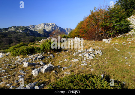 Karst-Landschaft, Montenegro, Durmitor Nationalpark Stockfoto