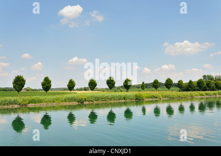 Reihe von Bäumen reflektiert in Wasser, Deutschland Stockfoto