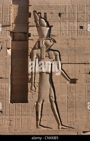 Alte ägyptische Gott Horus. Relief auf dem zweiten Pylon der Tempel der Isis in Philae-Insel in der Nähe von Assuan, Ägypten. Stockfoto