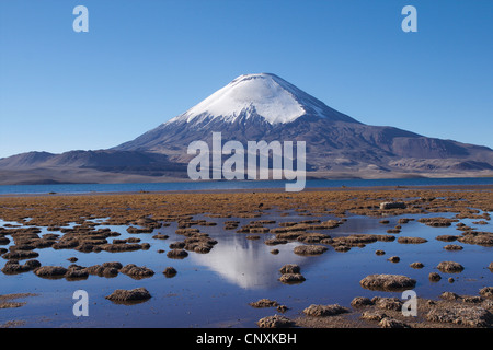 Vulkan Parinacota und Chungar See, Chile, Anden, Lauca Nationalpark Stockfoto