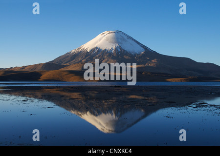 Vulkan Parinacota und Chungar See, Chile, Anden, Lauca Nationalpark Stockfoto