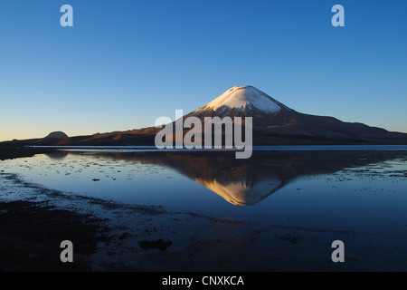 Vulkan Parinacota und Chungar See, Chile, Anden, Lauca Nationalpark Stockfoto