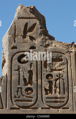 Kartusche von Pharao Ramses II. Ramesseum. Die Leichenhalle Tempel von Ramses II in der Nähe von Luxor, Ägypten. Stockfoto