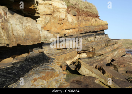 Kohlenflöz in Klippen in der Nähe von Elie Fife Schottland. Stockfoto