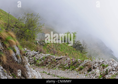 Nebel in einem trekking Pfad im Stol, Slowenien, Soca-Tal, Stol Stockfoto