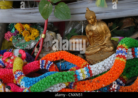 Angebote der Heilige Bodhi-Baum im Wat Po in Bangkok, Thailand. Stockfoto