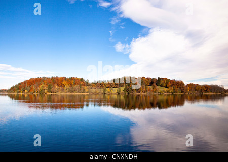 herbstlichen Wald auf der Insel Wörth, Deutschland, Bayern, Staffelsee Stockfoto