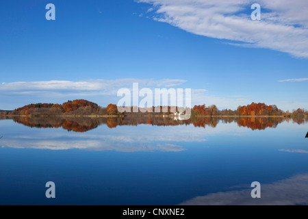 herbstlichen Wald auf der Insel Wörth, Deutschland, Bayern, Staffelsee Stockfoto