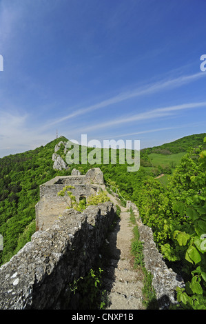 Burgmauer von Kalnik auf dem Bergkamm, Kroatien, Kalnikow Stockfoto