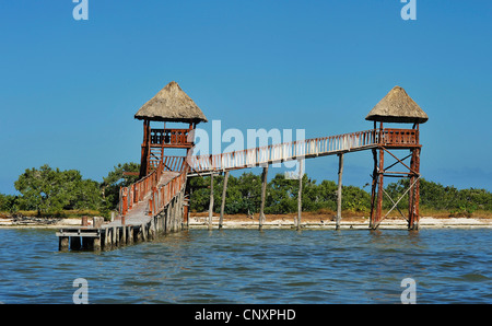 Holzponton dient als ein Vögel-Observatorium, Mexiko, Cancun, Insel Holbox Stockfoto