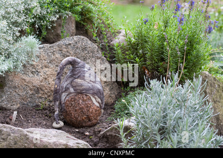 "gefühlte Stein Troll" dient als Gartendekoration: ausgestatteten mit Kappen gefilzte Wolle Naturstein steht in einem Blumenbeet, Deutschland