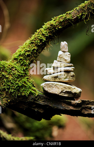 Steinhaufen auf abgestorbenem Holz, Frankreich, Vercors, Canyon des Gueulards Stockfoto