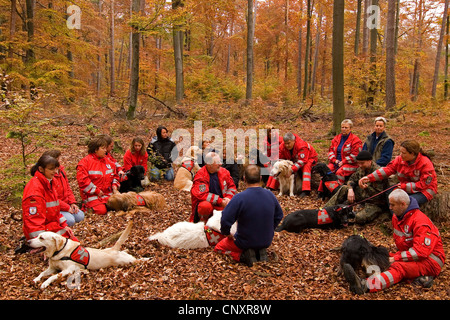 Haushund (Canis Lupus F. Familiaris), Einweisung der Trainer mit Such- und Rettungsmaßnahmen Hunde im herbstlichen Wald Stockfoto